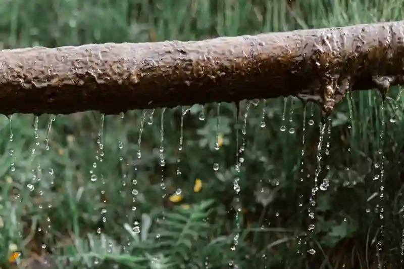 Leak