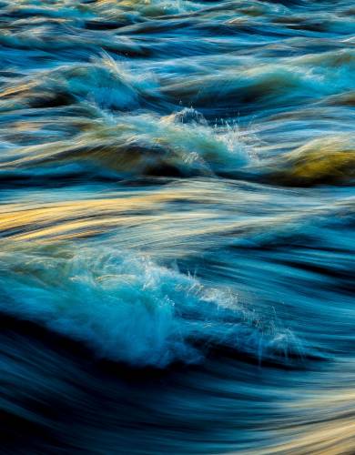 Water logger