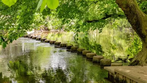 River Mole stepping stones