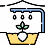 Rainwater harvesting